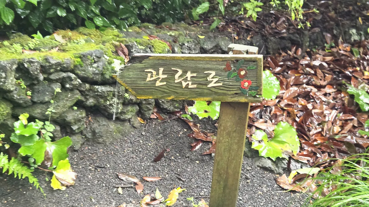 카멜리아힐 관람로 나무 표지판