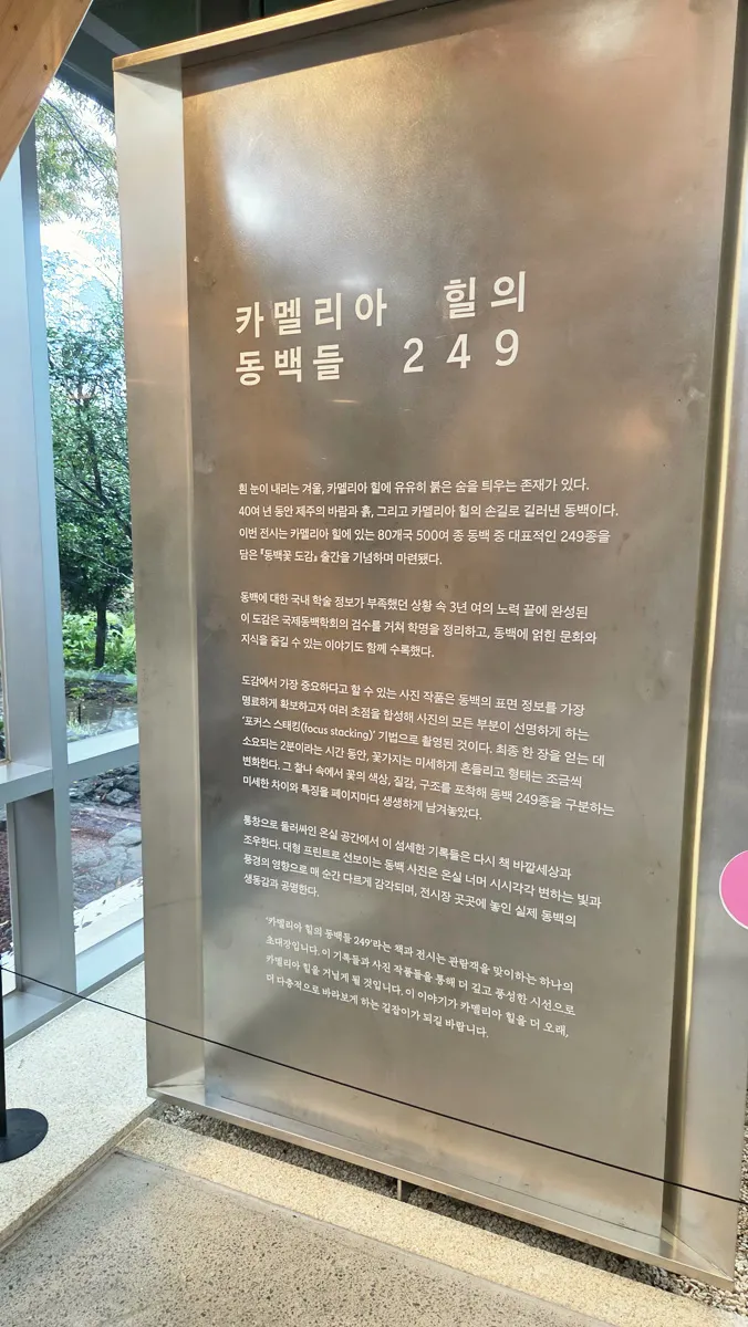 카멜리아힐 동백들 249 전시 안내