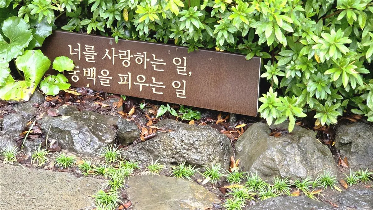 카멜리아힐 '너를 사랑하는 일, 동백을 피우는 일'