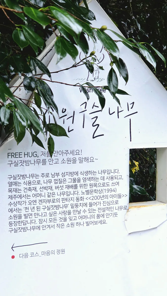 카멜리아힐 소원 구슬 나무 안내