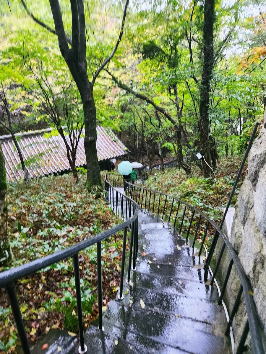 천왕사 젖은 긴 계단
